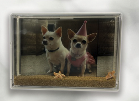 MARCO PORTAFOTOS - Imagen 3