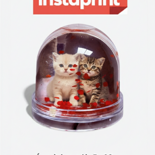 BOLAS DE NIEVE PORTAFOTOS PERSONALIZADAS